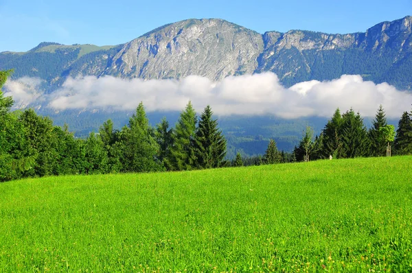 Verão Paisagem Alpina Austríaca Perto Innsbruck Áustria — Fotografia de Stock