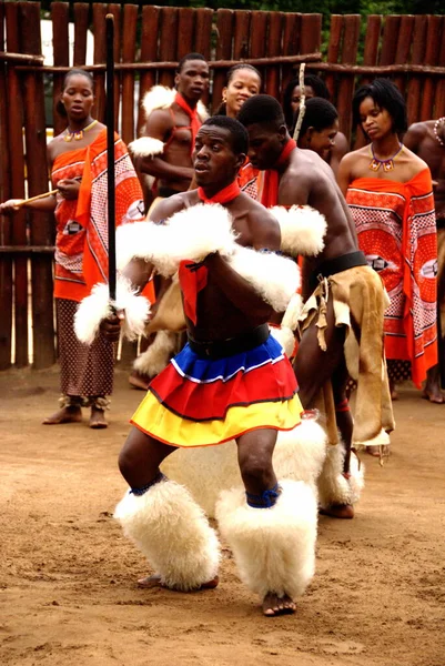 MANZINI, SWAZILAND - 25 Kasım 2010 Manzini, Svaziland 'daki bir Swazi şovunun sunumu sırasında, tanımlanamayan gençler geleneksel giysiler giyip dans ediyorlar