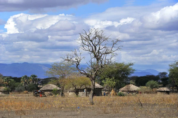 Aldeia Masai Tanzânia Muitas Tribos Maasai Toda Tanzânia Quênia Recebem — Fotografia de Stock