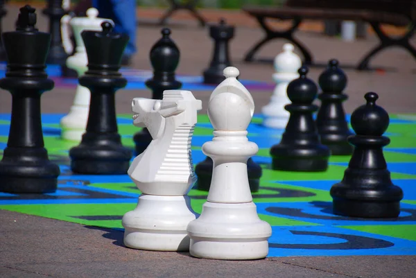 Giant chess game in public park, Montreal, Quebec, Canada