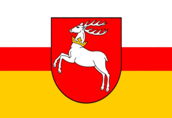 Vlag Van Poolse Woiwodschap Lublin Polen — Stockfoto