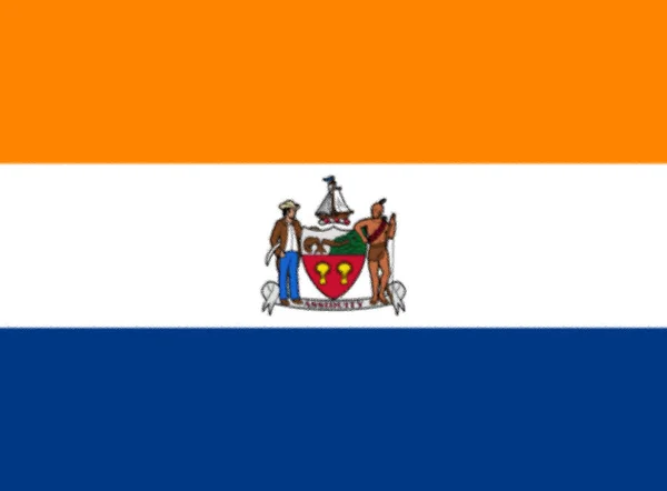 Zászló Albany New York Usa — Stock Fotó