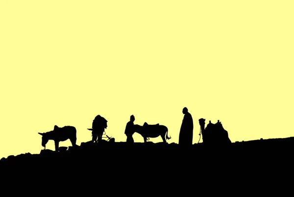 Saqarah埃及贝都因人和他们的动物在沙漠中的轮廓 — 图库照片