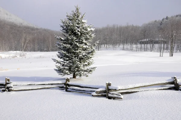 Χειμερινό Τοπίο Κεμπέκ Καναδάς — Φωτογραφία Αρχείου