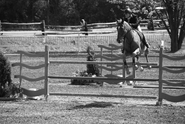 Bromont Canada Julho Cavaleiro Desconhecido Cavalo Durante 2011 Bromonte Internacional — Fotografia de Stock