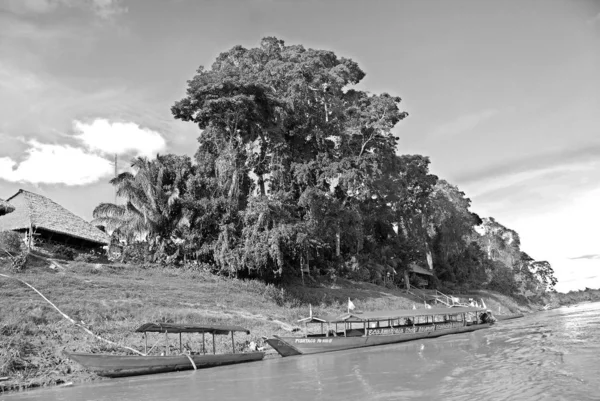 Рио Дьос Живописными Тропическими Лесами Перуанской Амазонии — стоковое фото