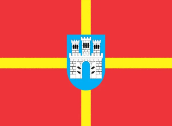 Vlag Van Oblast Zhytomyr Oekraïne — Stockfoto