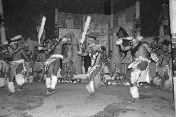 Sakaland Noviembre Bailarines Zulúes Identificados Visten Ropa Tradicional Zulú Durante — Foto de Stock