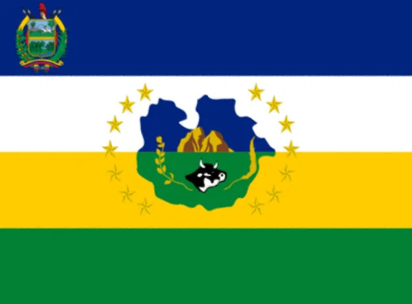 Guarico State Flag State Venezuela — Stock Photo, Image