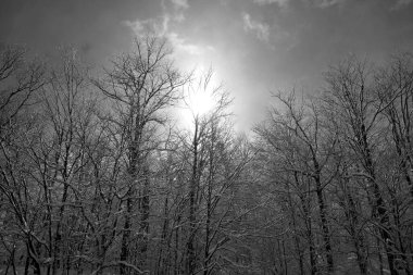 Sutton Dağı 'ndaki kış manzarası, Quebec, Kanada