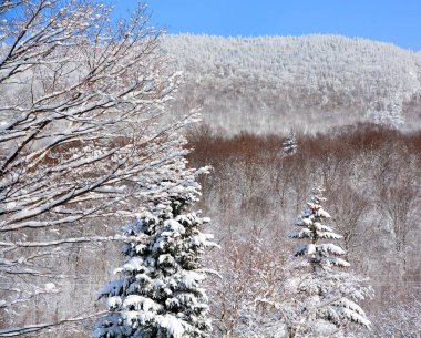 Sutton Dağı 'ndaki kış manzarası, Quebec, Kanada