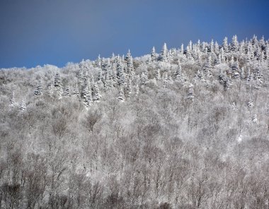 Sutton Dağı 'ndaki kış manzarası, Quebec, Kanada