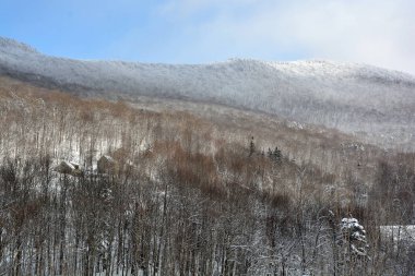Sutton Dağı 'ndaki kış manzarası, Quebec, Kanada
