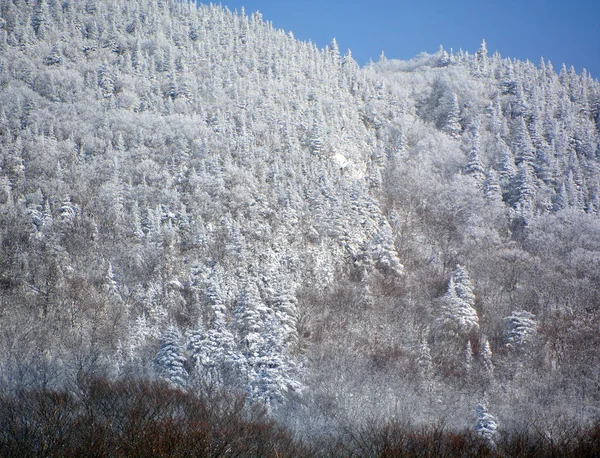 Зимовий Пейзаж Саттон Гори Східне Містечко Квебек Канада — стокове фото
