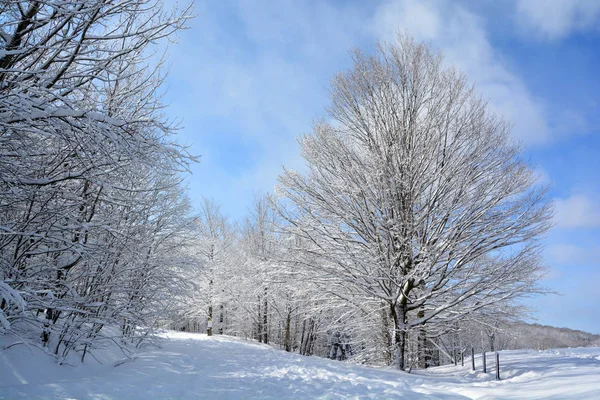 Krajobraz Zimowy Górach Sutton Wschodnie Miasteczko Quebec Kanada — Zdjęcie stockowe