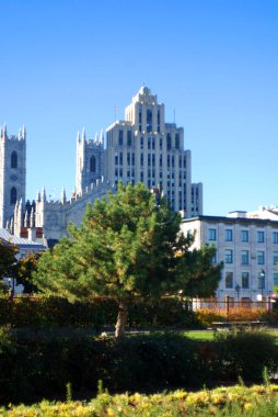 Montreal, Kanada 'da sonbahar parkı 
