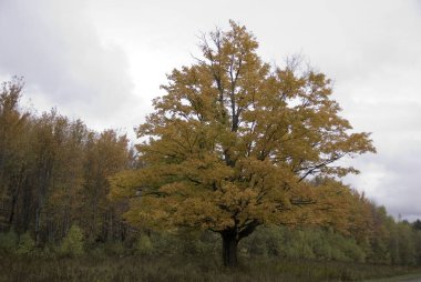Montreal 'den Jean Drapeau Parc