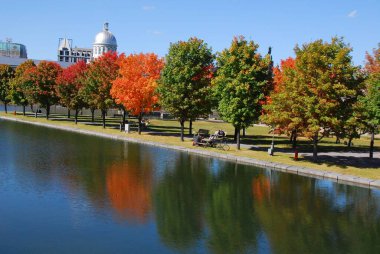 MONTREAL, QUEBEC, CANADA - 10 2010: Arka planda eski Montreal ile Parc Jean Drapeau 'dan sonbahar manzarası