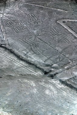 Nazca Çizgileri, Güney Peru 'daki Nazca Çölü' nde bulunan antik geoglifler serisidir. 1994 yılında UNESCO Dünya Mirasları Listesi olarak belirlendi. Yüksek, kurak plato Nazca kasabaları arasında 80 kilometreden fazla (50 metre) uzanır. 