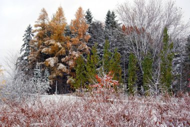 Sonbaharın sonları, Bromont 'ta kış başları Quebec, Kanada