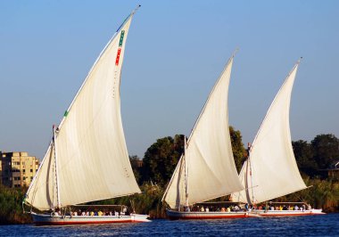 ASWAN EGYPT - 125 08: Felucca, Aswan, Mısır yakınlarındaki Nil nehri üzerinde yelken açıyor. Bugün görülen dostlar MÖ 3350 yılında icat edildi.