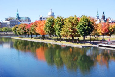 MONTREAL, QUEBEC, CANADA - 10 2010: Arka planda eski Montreal ile Parc Jean Drapeau 'dan sonbahar manzarası 