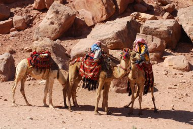 PETRA, JORDAN - 25 Kasım 2009 Petra, Ürdün 'de kimliği belirsiz adamlar deve gezisi için turistleri bekliyor. Yolculuk 20JD tuttu. Petra MÖ 6. yüzyılda Nabataean krallığının etkileyici başkentiydi. 