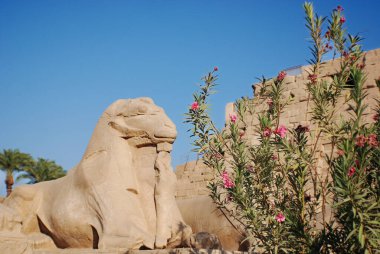 Luxor, Mısır 'daki Antik Tapınak