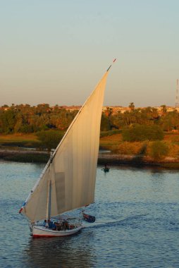 ASWAN EGYPT - 25 NOV: Felucca, MÖ 3350 yılında Mısır 'ın Aswan kenti yakınlarındaki Nil nehrinde yelken açar.