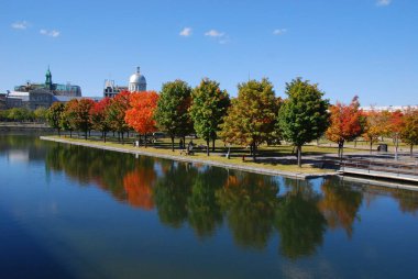 MONTREAL, QUEBEC, CANADA - 10 2010: Arka planda eski Montreal ile Parc Jean Drapeau 'dan sonbahar manzarası 