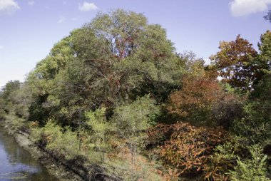 Montreal 'den Jean Drapeau Parc