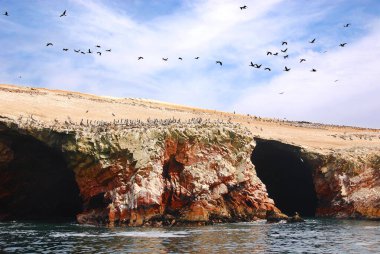 Ballestas Adaları, Peru 'nun güney kıyısında, Pisco Bölgesi' nin Paracas ilçesi içinde yer alan bir grup küçük adadır..