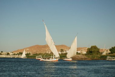 ASWAN EGYPT - 25 NOV: Felucca, MÖ 3350 yılında Mısır 'ın Aswan kenti yakınlarındaki Nil nehrinde yelken açar.