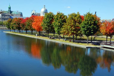 MONTREAL, QUEBEC, CANADA - 10 2010: Arka planda eski Montreal ile Parc Jean Drapeau 'dan sonbahar manzarası