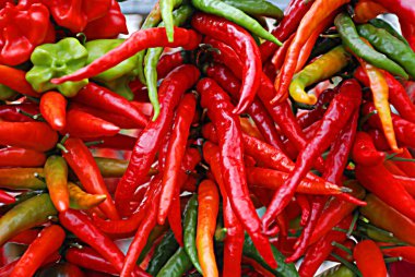 Kuru biberler: Pimientos Choriceros, kuru sıcak guindilla biberleri, ve tuzlu suda Piparras-Bask yeşil biberleri..