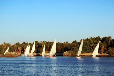 ASWAN EGYPT - 125 08: Felucca, Aswan, Mısır yakınlarındaki Nil nehri üzerinde yelken açıyor. Bugün görülen dostlar MÖ 3350 yılında icat edildi.