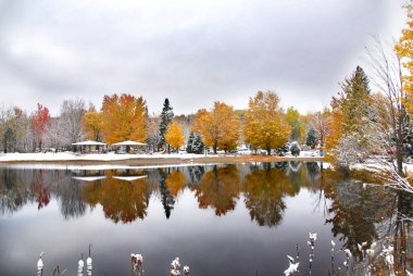 Coloful ağaçları ve karlı sonbahar manzarası 