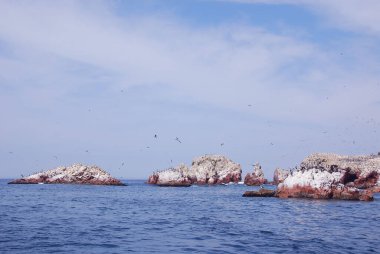 Ballestas Adaları, Peru 'nun güney kıyısında, Pisco Bölgesi' nin Paracas ilçesi içinde yer alan bir grup küçük adadır..
