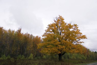 Montreal 'den Jean Drapeau Parc
