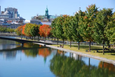 MONTREAL, QUEBEC, CANADA - 10 2010: Arka planda eski Montreal ile Parc Jean Drapeau 'dan sonbahar manzarası 