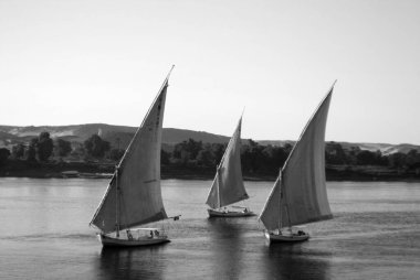 ASWAN EGYPT - 125 08: Felucca, Aswan, Mısır yakınlarındaki Nil nehri üzerinde yelken açıyor. Bugün görülen dostlar MÖ 3350 yılında icat edildi. 