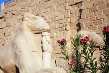 Lüksör, Mısır 'daki Karnak tapınağı