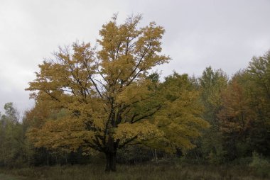 Montreal 'den Jean Drapeau Parc