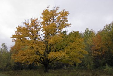 Montreal 'den Jean Drapeau Parc