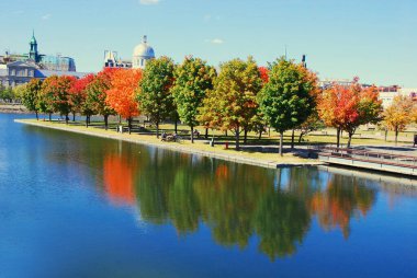 MONTREAL, QUEBEC, CANADA - 10 2010: Arka planda eski Montreal ile Parc Jean Drapeau 'dan sonbahar manzarası