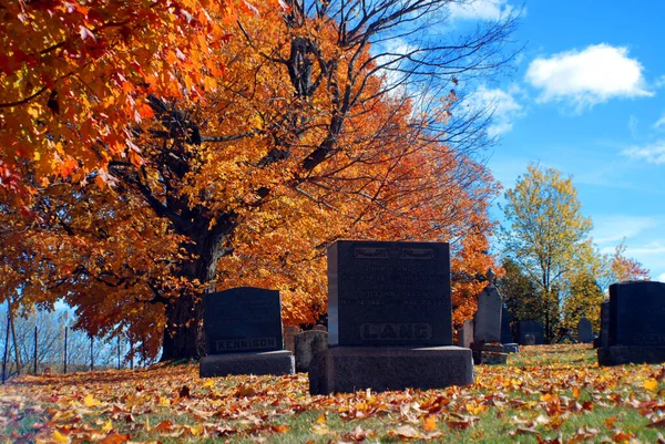 Montreal Canada Octubre 2015 Tumbas Cementerio Notre Dame Des Neiges —  Fotos de Stock