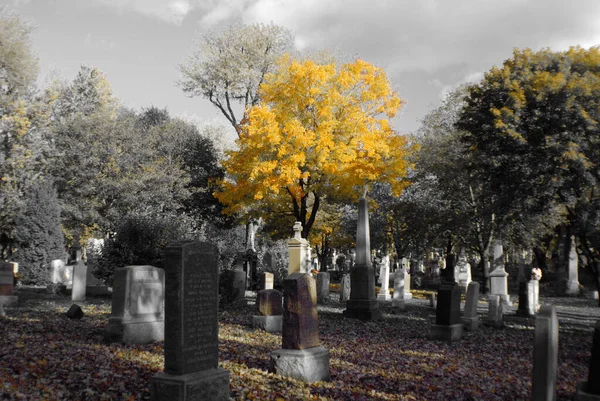 Montreal Canada October 2015 Notre Dame Des Neiges Cemetery Colorful — 图库照片