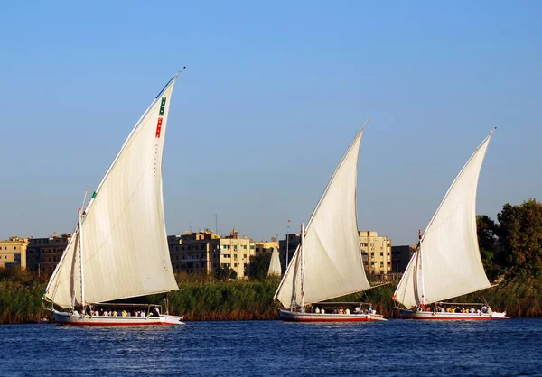 Aswan Egypt Felucca Vitorlák Nílus Folyón Aswan Közelében Egyiptomban Látott — Stock Fotó