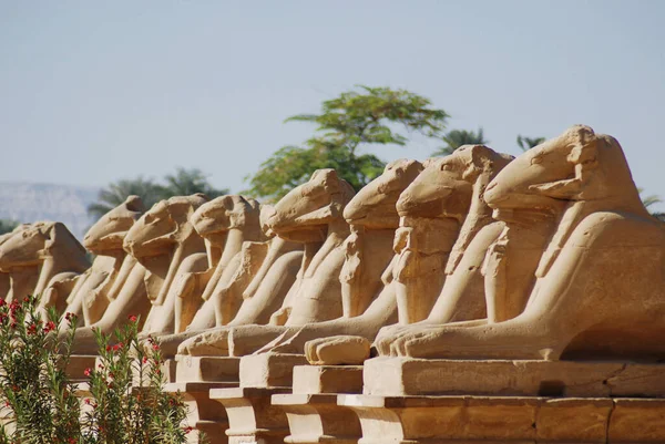 Balanço Beco Com Cabeças Carneiros Templo Karnak Bem Como Várias — Fotografia de Stock