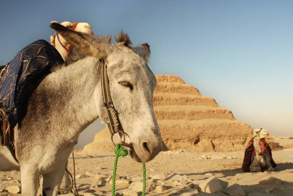 Mısır Saqqara Kentindeki Antik Basamak Piramidi Mısır Devriminden Yana Mısır — Stok fotoğraf